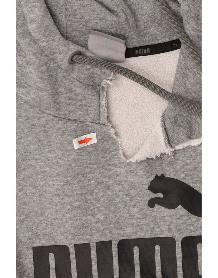 Puma Herre grafisk hættetrøje Jumper Medium Grey Flecked Bomuld
