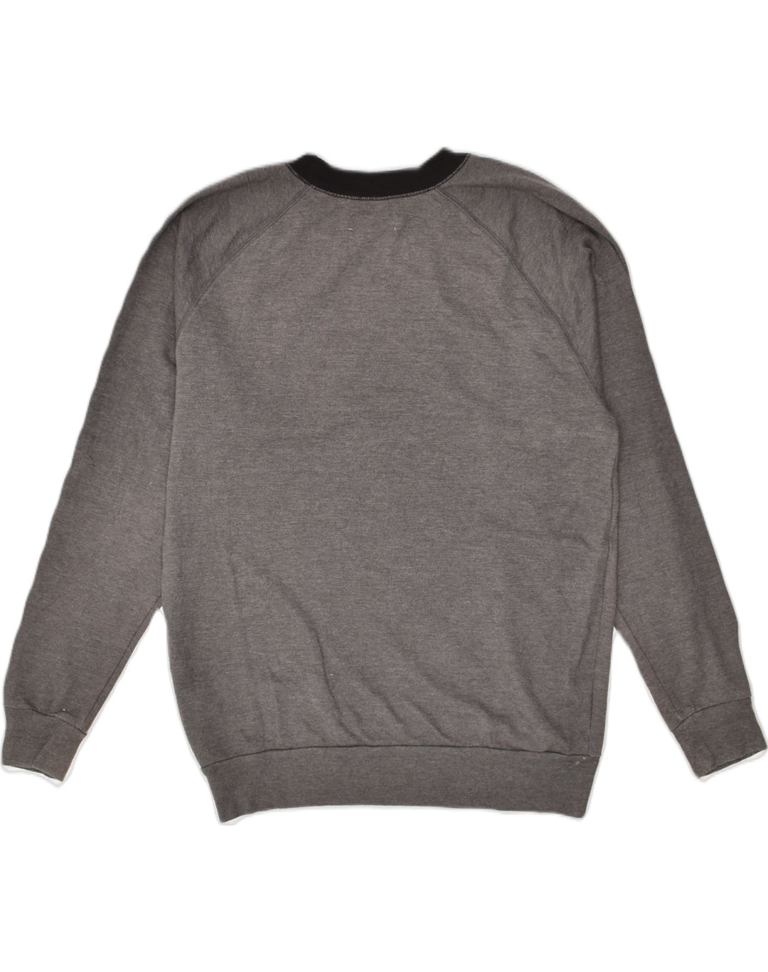 HOLLISTER Mens Graphic Sweatshirt Jumper XS Grey Cotton | Vintage Hollister | Thrift | Second-Hand Hollister | Used Clothing | Messina Hembry 