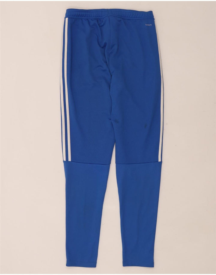 ADIDAS Womens Climalite træningsdragt Bukser UK 10 Small Blue Polyester