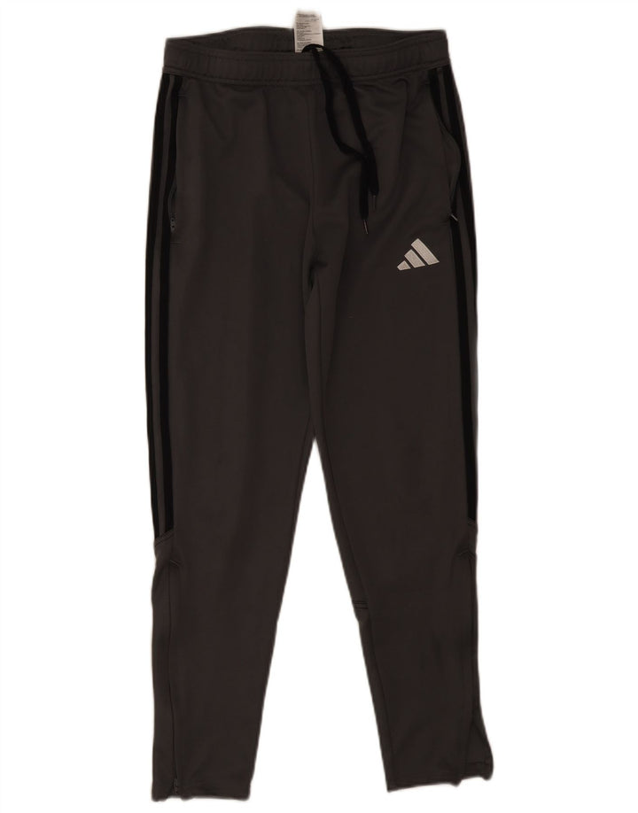 Adidas Træningsdragtsbukser til mænd mellemgrå polyester
