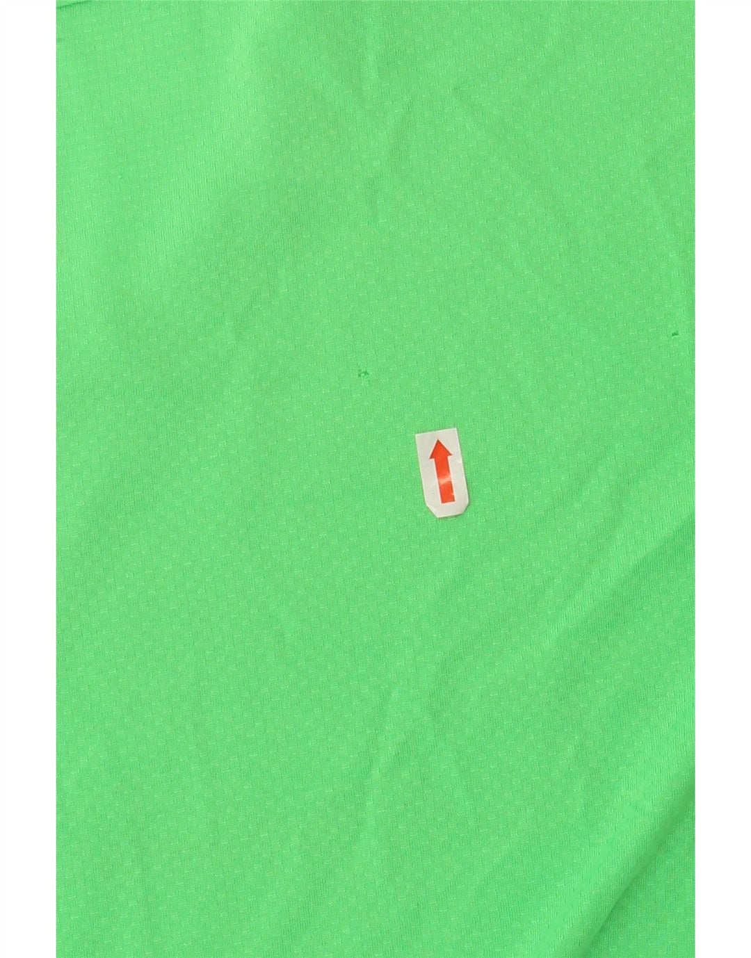 CHAMPION Mens Graphic Vest Top 2XL Green Vintage Champion and Second-Hand Champion from Messina Hembry 
