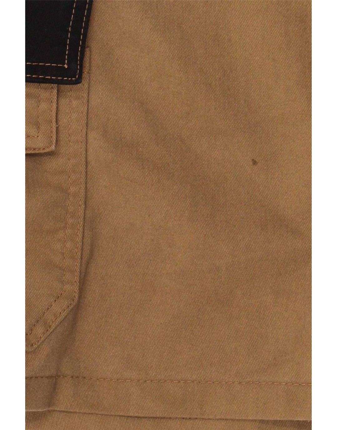 Dickies Herre Cargo Shorts W31 Medium Beige Colourblock Polyester