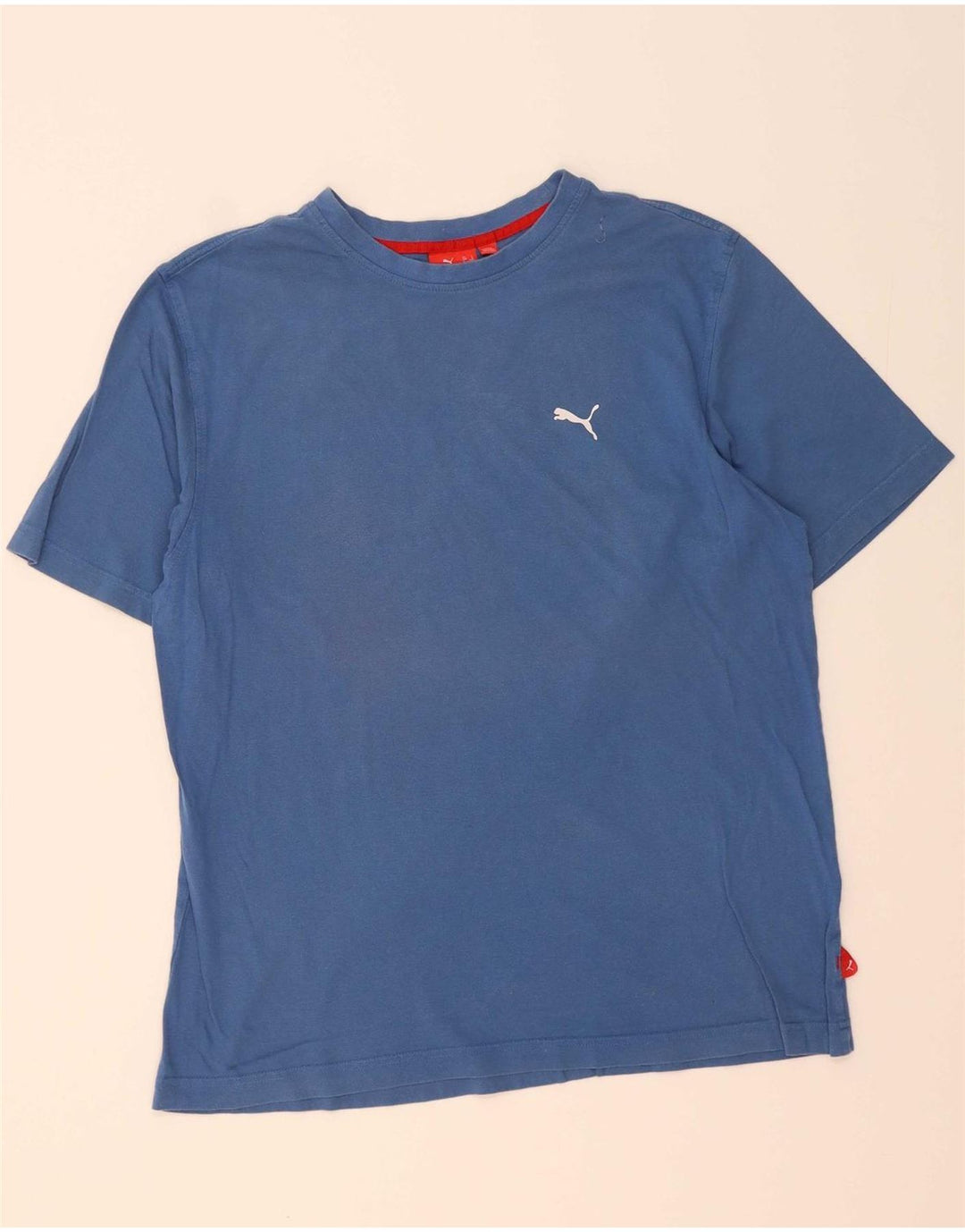 PUMA Mens T-Shirt Top Large Blue