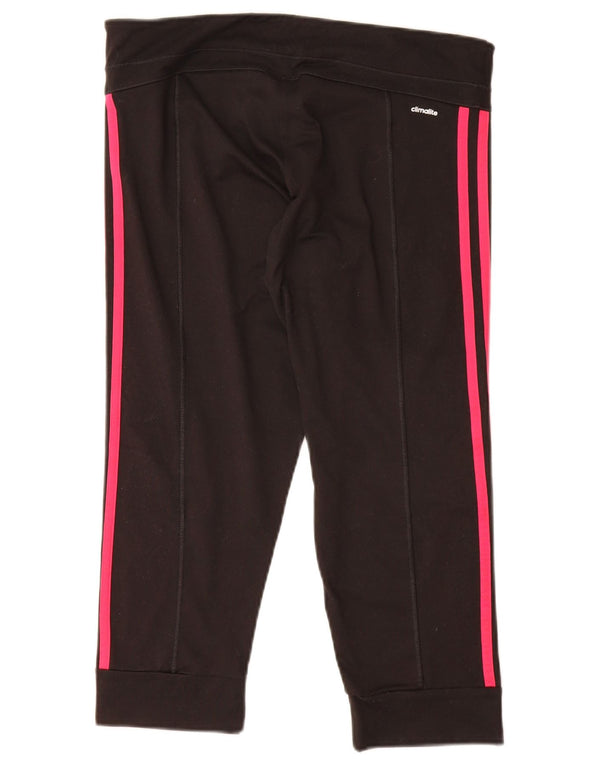 Adidas Womens Climalite træningsdragt Bukser Joggers UK 12/14 Medium Black