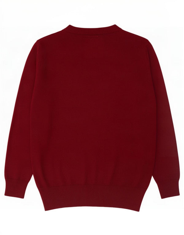 Abercrombie & Fitch Herre Muscle V-hals sweater Stor Bourgogne bomuld