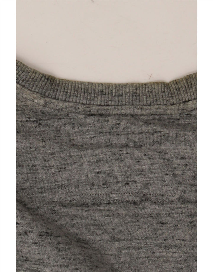 CALVIN KLEIN JEANS Grafisk sweatshirt til mænd, lille grå flækket