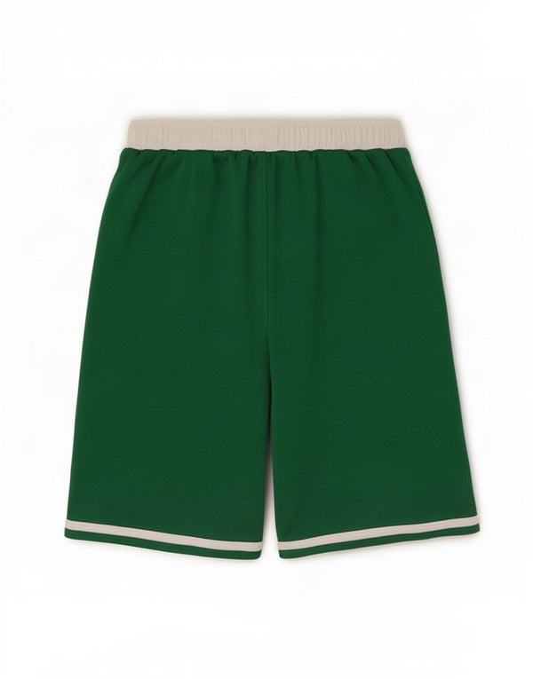 Nike Boys Boston Celtics sportsshorts 10-11 år Medium Green Colourblock