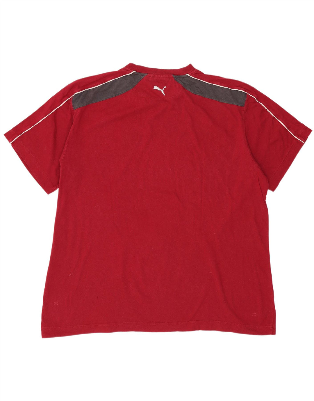 PUMA Grafisk T-shirt top til mænd 2XL Rød Colourblock