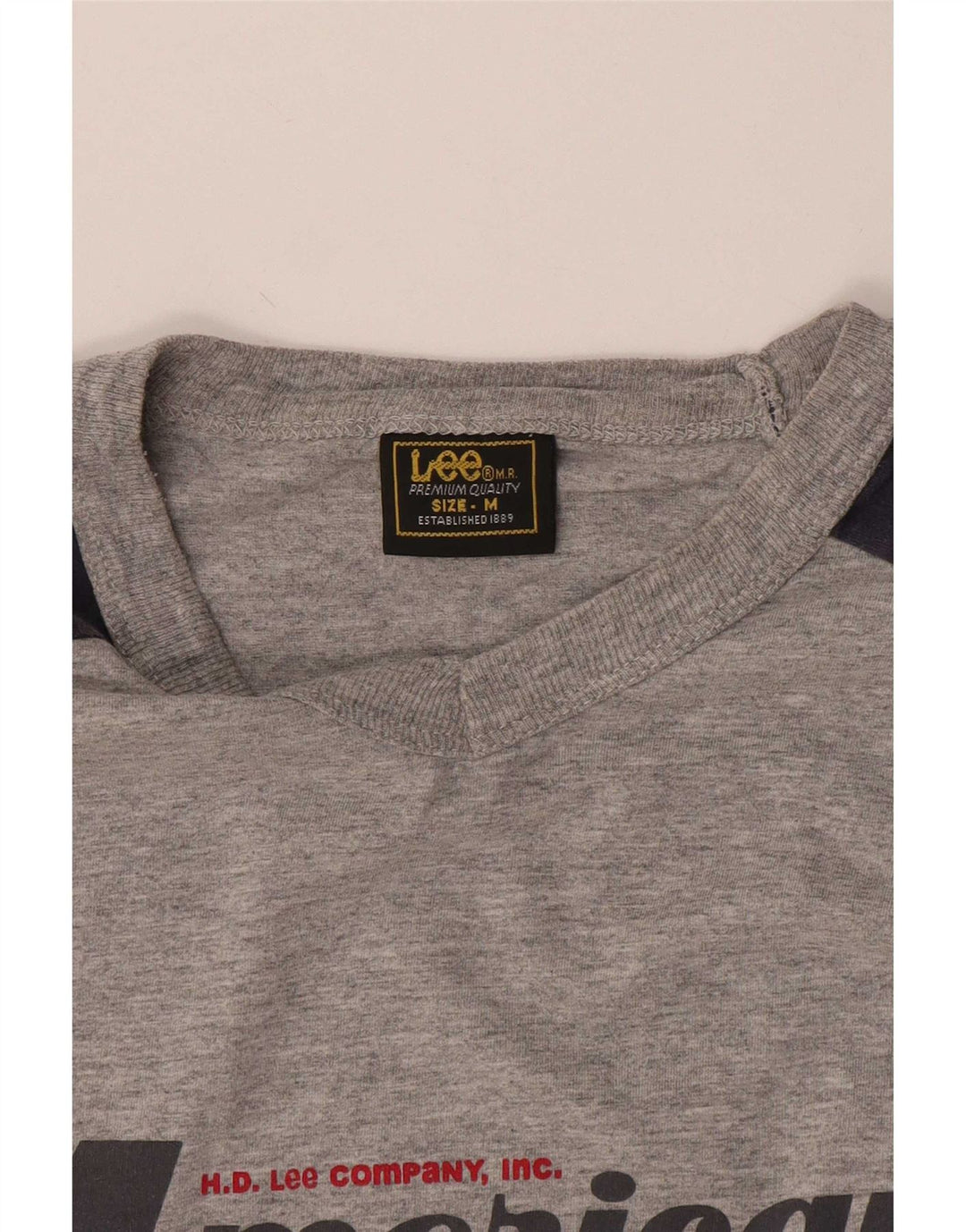 Lee Herre grafisk T-shirt top mellemgrå farveblok