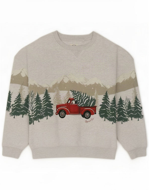 Næste Dame Grafisk Sweatshirt Jumper UK 8 Small Grey Cotton Christmas