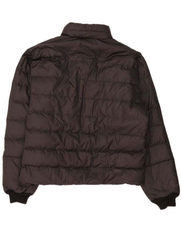 FAY Polstret Herrejakke UK 46 3XL Sort Polyester