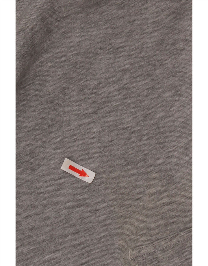 Champion Herre hættetrøje Jumper Large Grå Bomuld