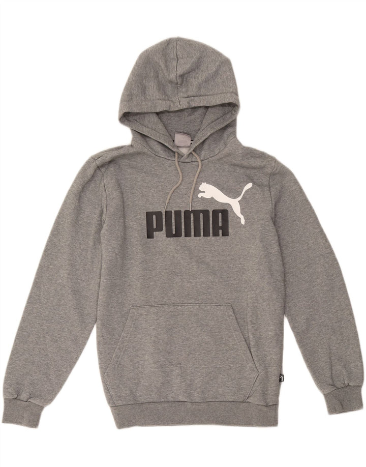 Puma Grafisk hættetrøje til mænd, lille grå bomuld