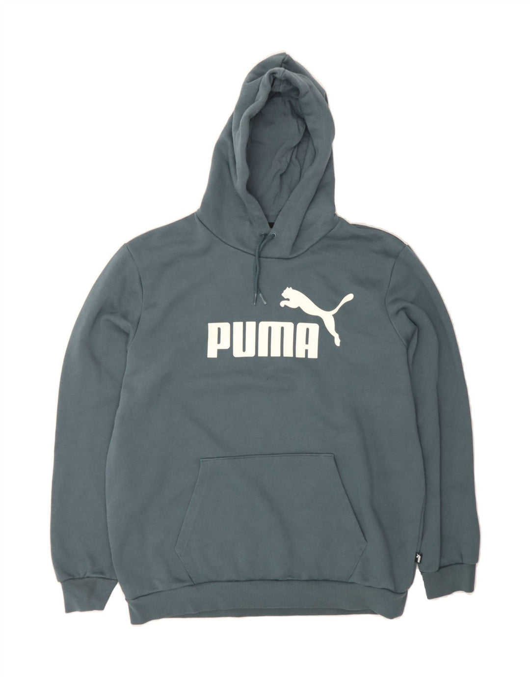 PUMA Mens Graphic Hoodie Jumper Large Blue Cotton Vintage Puma and Second-Hand Puma from Messina Hembry 