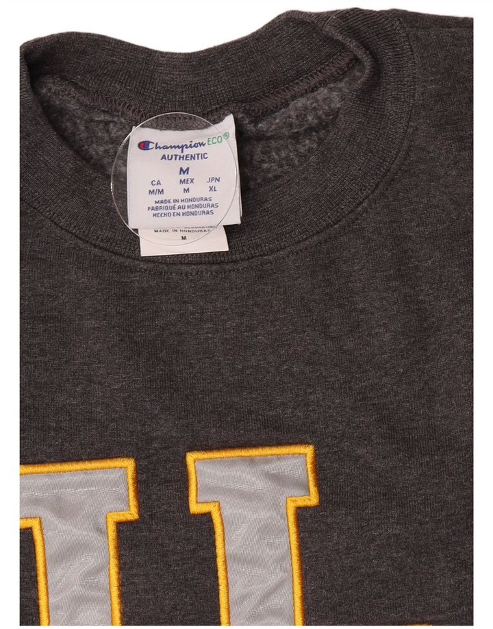 Champion Herre Grafisk Sweatshirt Jumper Medium Grå Bomuld