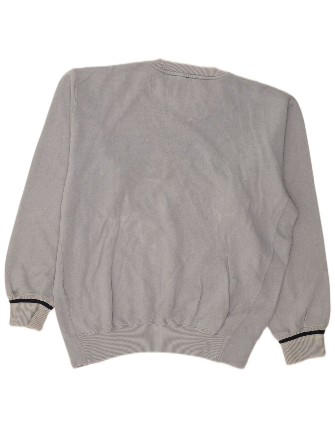 Champion Herre Grafisk Sweatshirt Jumper Large Blå Bomuld Classic
