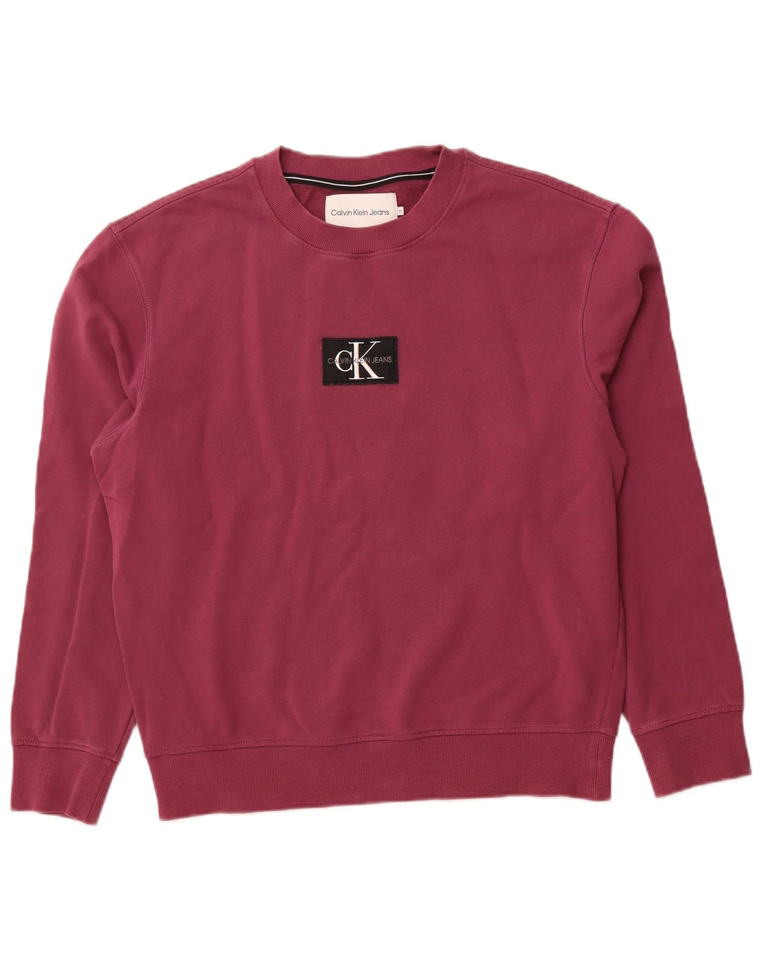 CALVIN KLEIN JEANS Grafisk sweatshirt til mænd Medium Lilla