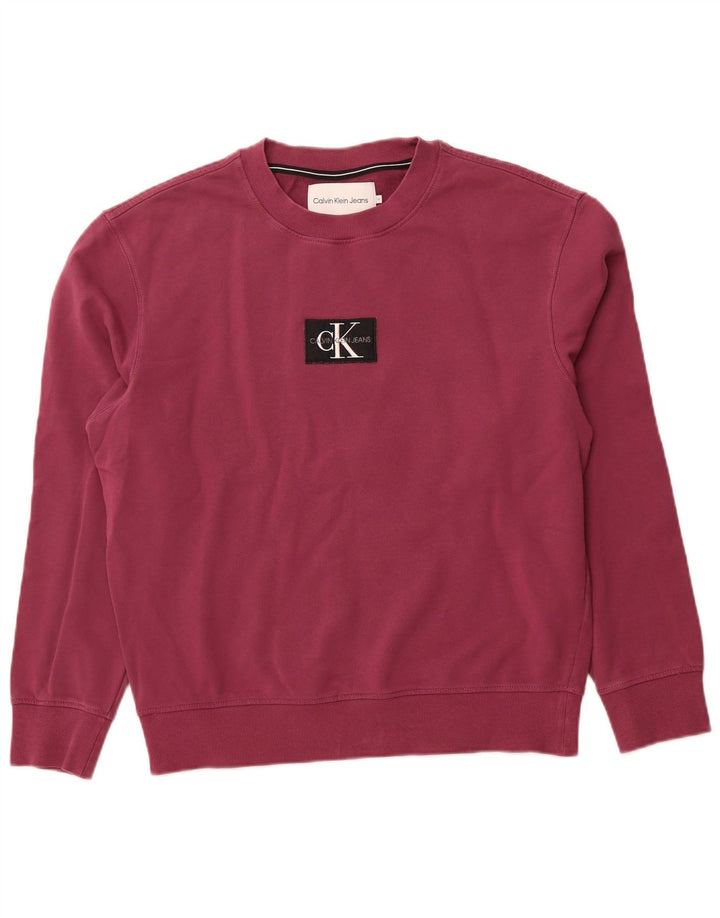 CALVIN KLEIN JEANS Grafisk sweatshirt til mænd Medium Lilla