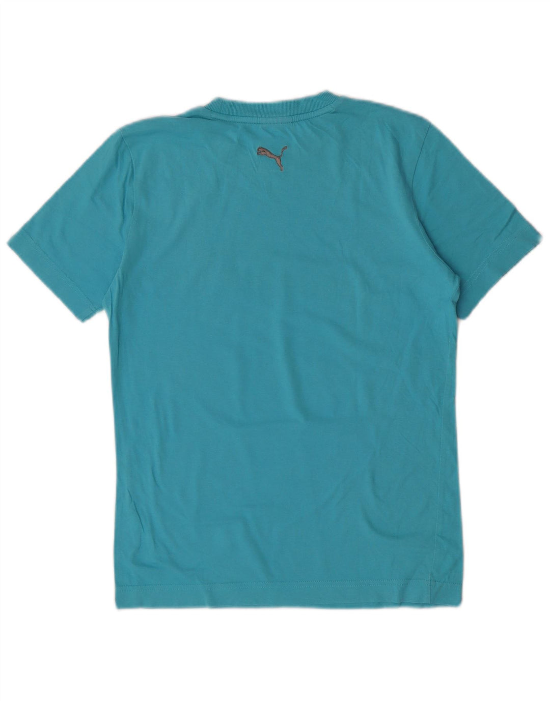 Puma Grafisk T-Shirt Top XS til mænd Blå