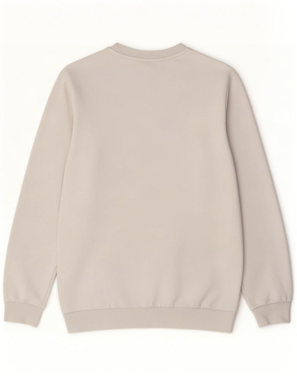 Calvin Klein Jeans Herre Grafisk Sweatshirt Jumper Medium Hvid Bomuld