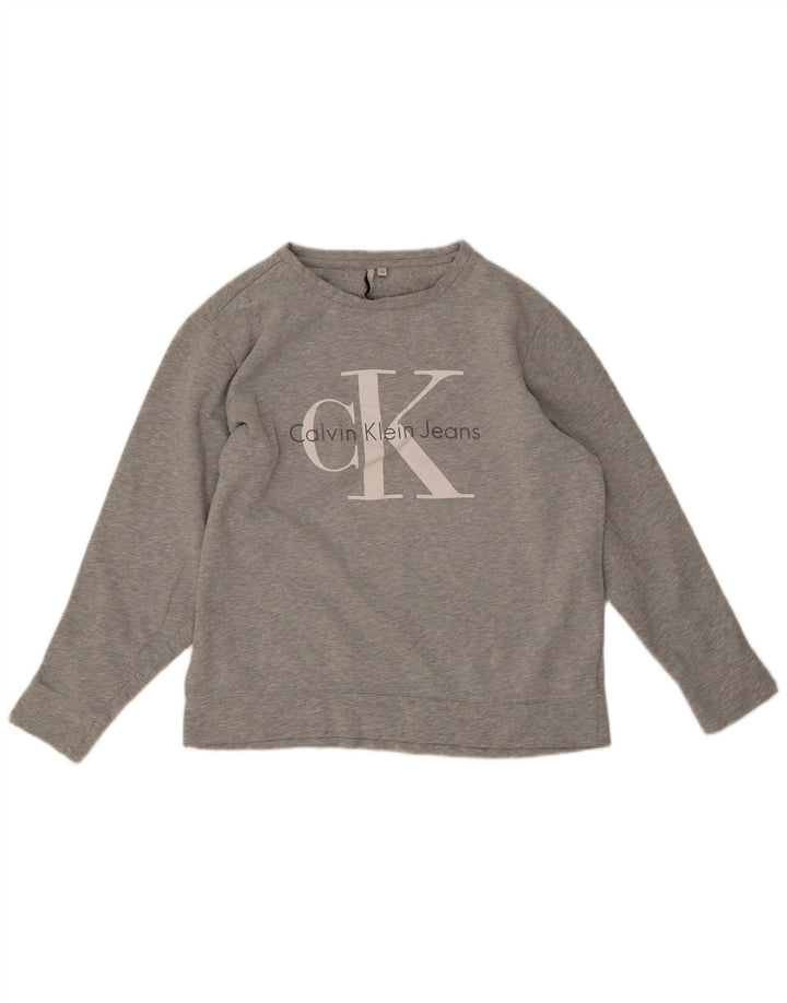 Calvin Klein Jeans Herre Grafisk Sweatshirt Jumper Medium Grå Bomuld