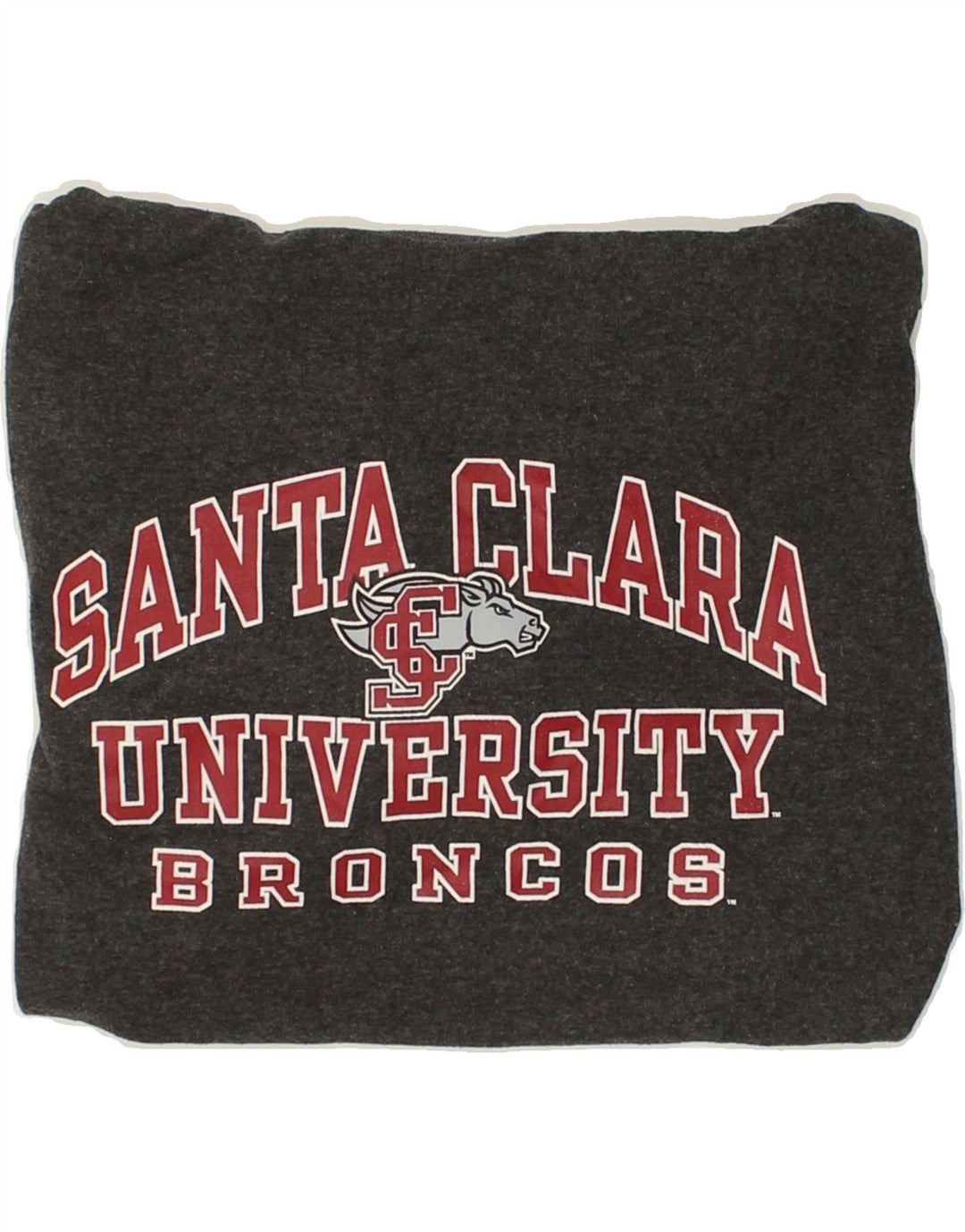 CHAMPION Mens Graphic Top Long Sleeve Small Grey Cotton Vintage Champion and Second-Hand Champion from Messina Hembry 
