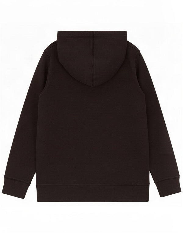 Under Armour Herre Grafisk Loose Fit hættetrøje Jumper Medium Sort