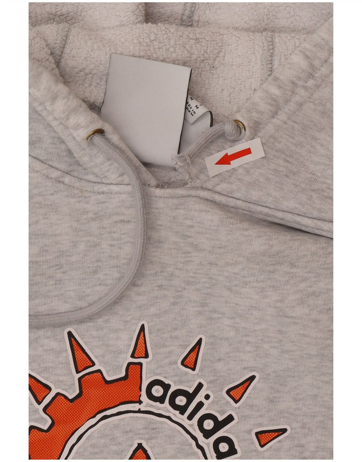 Adidas Grafisk hættetrøje til mænd mellemgrå bomuld
