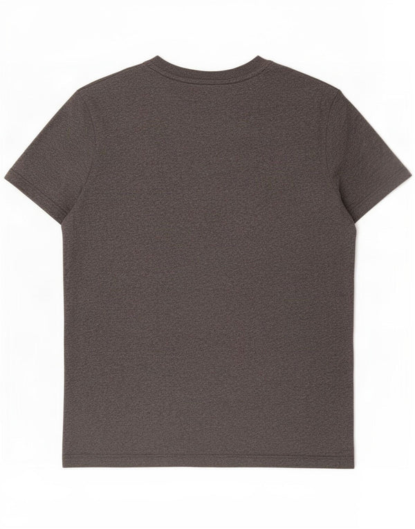 Superdry Mens T-Shirt Top Large Grey