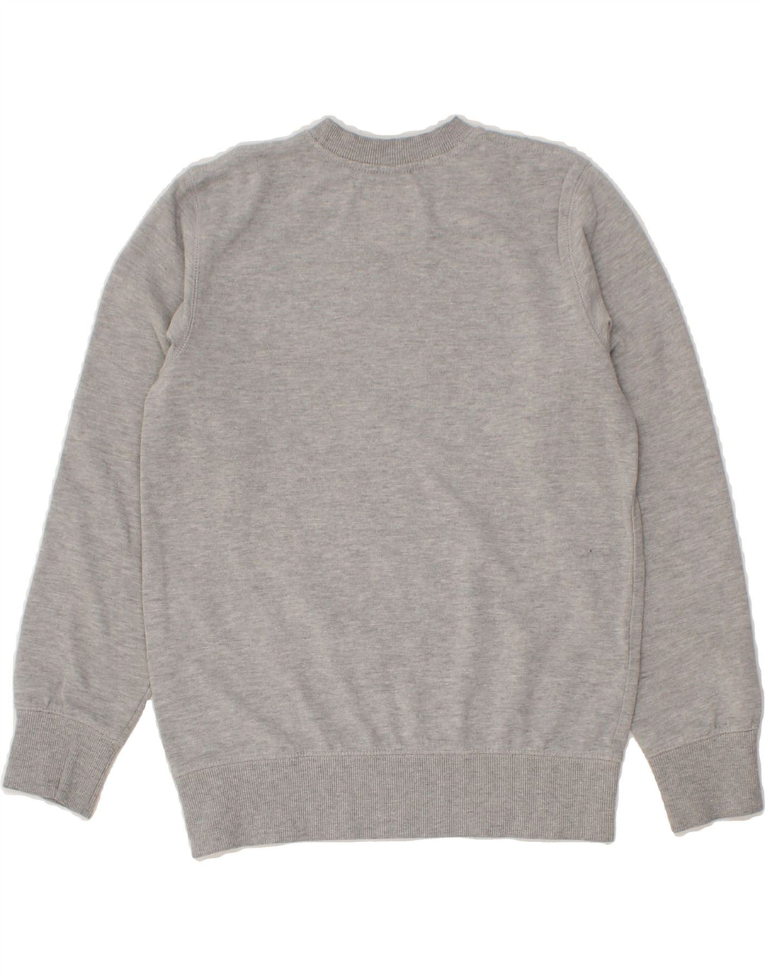 LEVI'S Boys Graphic Sweatshirt Jumper 15-16 Years Grey Flecked Cotton Vintage Levi's and Second-Hand Levi's from Messina Hembry 