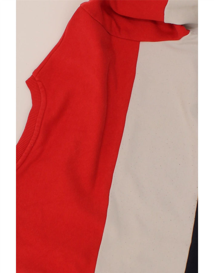FILA Herre grafisk sweatshirt Jumper Medium Flerfarvet Colourblock