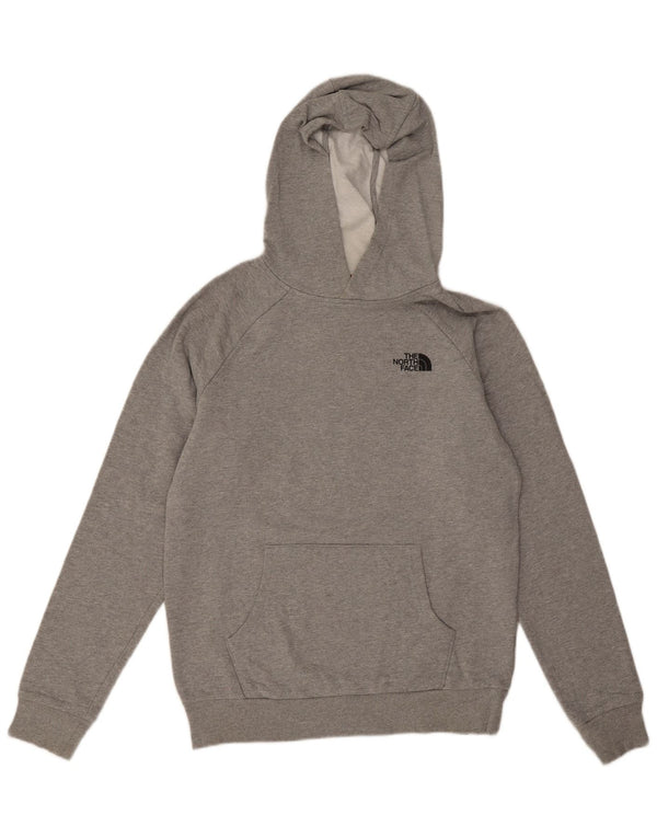 The North Face Herre grafisk hættetrøje Jumper Medium Grå Bomuld