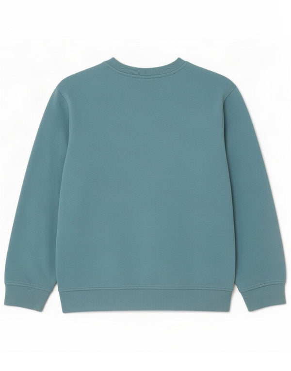 Nike Boys Graphic Sweatshirt Jumper 12-13 år Large Blue Cotton