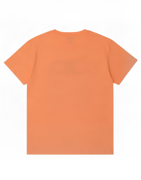 Champion Mens Graphic T-Shirt Top Large Orange Cotton