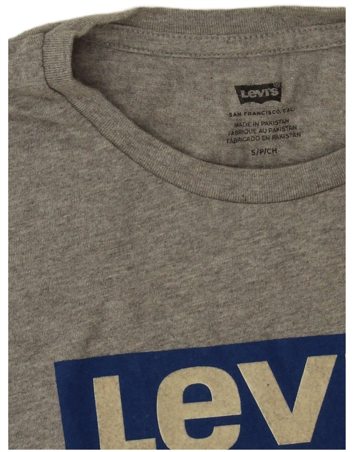 Levi's Herre grafisk T-shirt top lille grå flækket bomuld