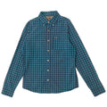 HOLLISTER Mens Shirt Medium Blue Gingham Cotton
