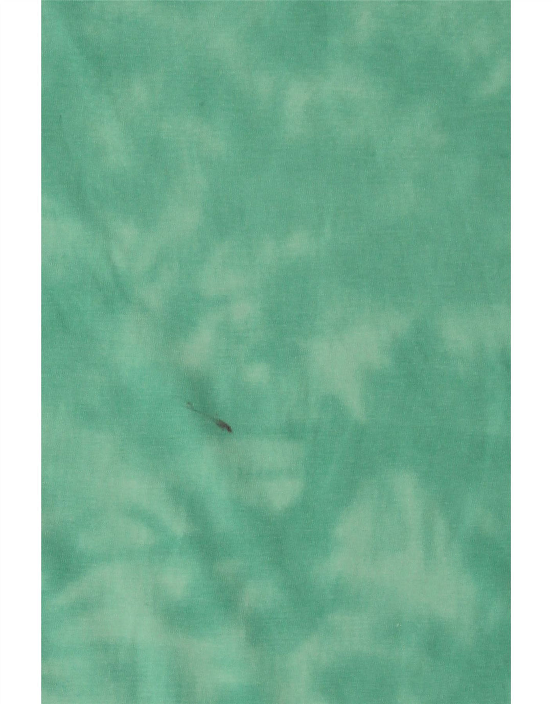 CHAMPION Herre T-Shirt Top Medium Green Tie Dye