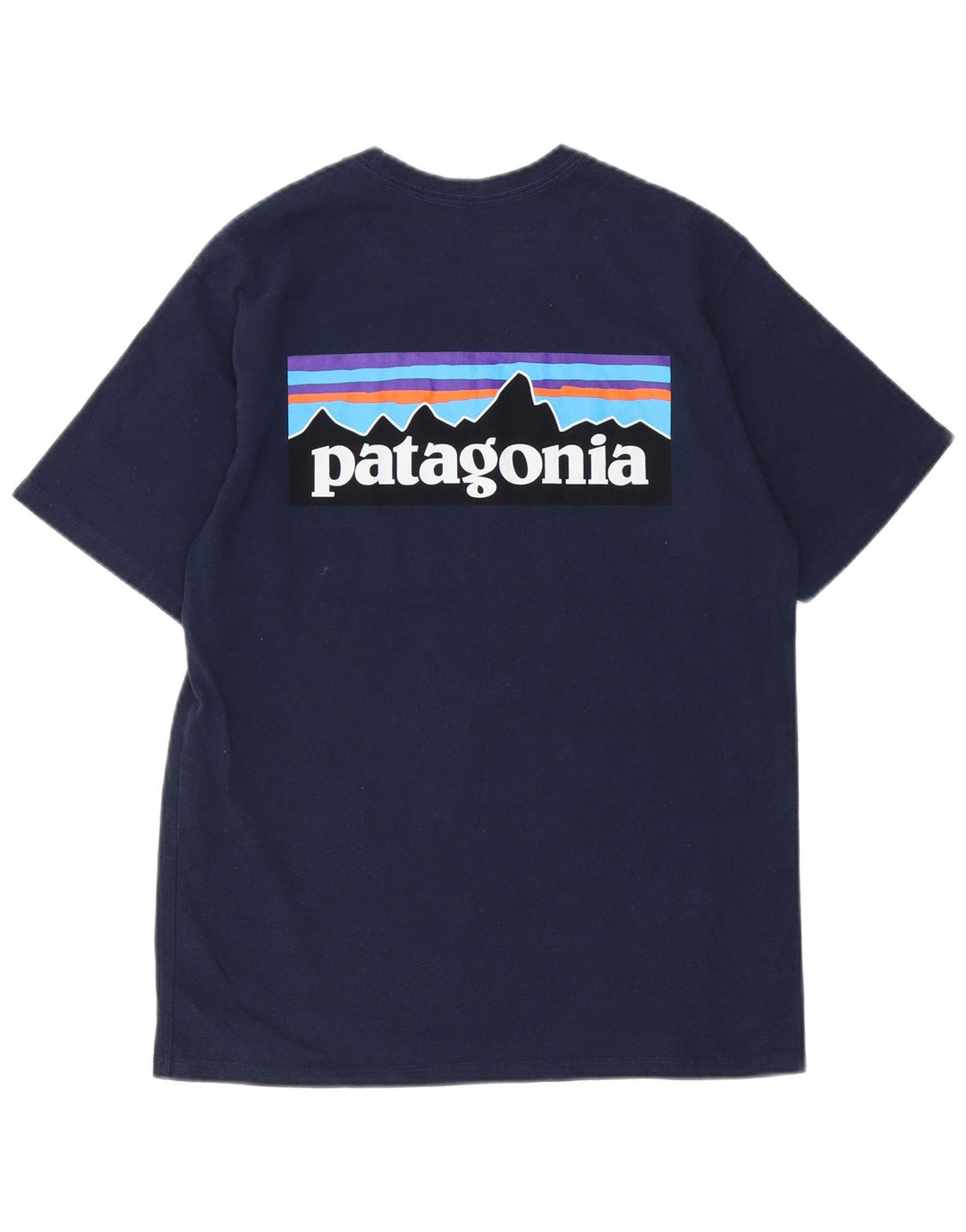 Patagonia Herre Regular Fit grafisk T-shirt Top Lille marineblå polyester