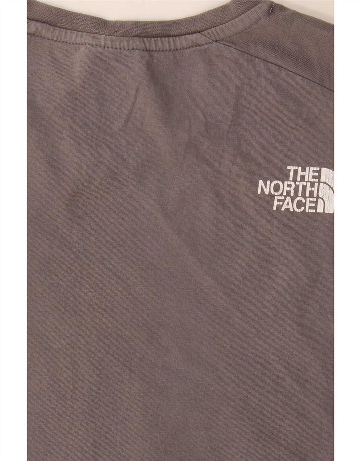 The North Face Herre Regular Graphic T-Shirt Top Lille Grå Colourblock