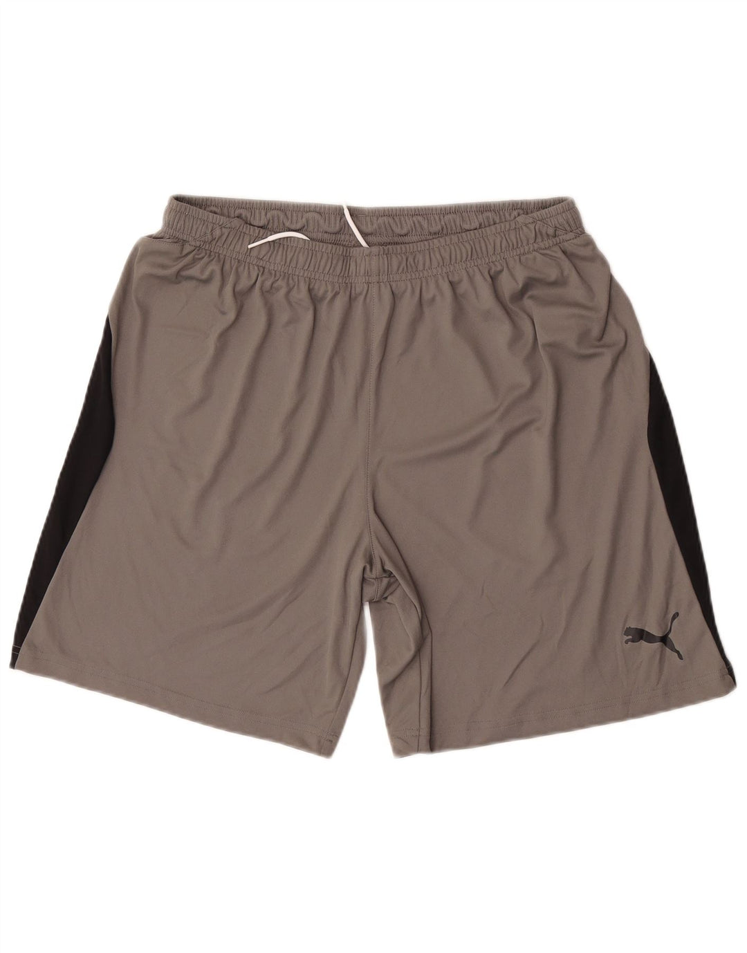 Puma Sportshorts til mænd Large Grå Colourblock Polyester