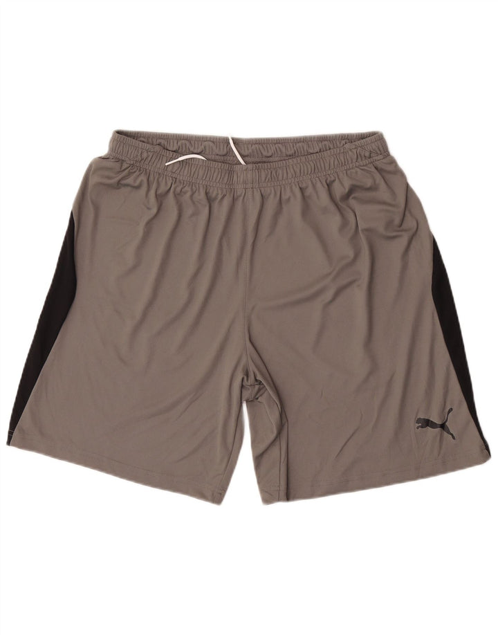Puma Sportshorts til mænd Large Grå Colourblock Polyester
