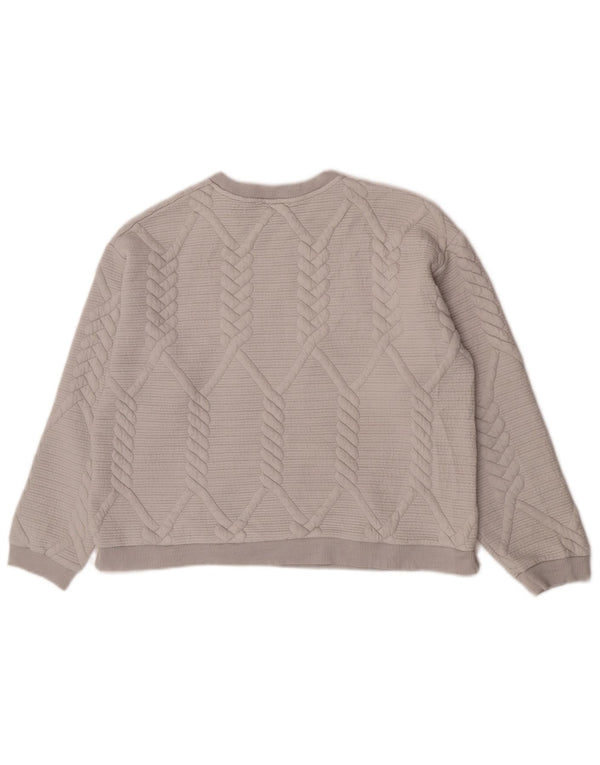 Zara Dame Sweatshirt Jumper UK 16 Large Grå Polyester