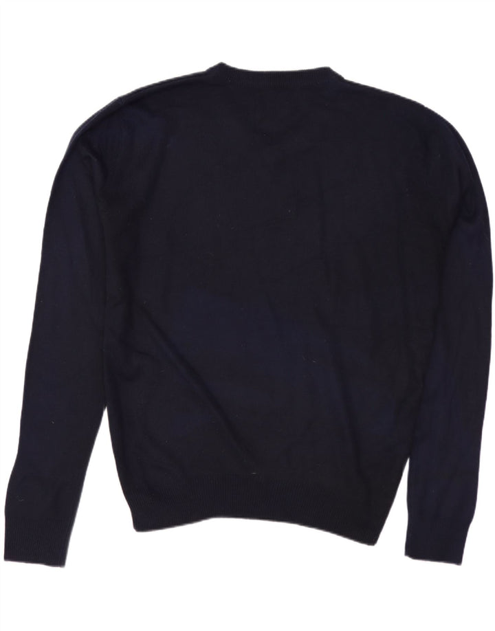 PIERRE CARDIN Herre V-hals sweater lille marineblå