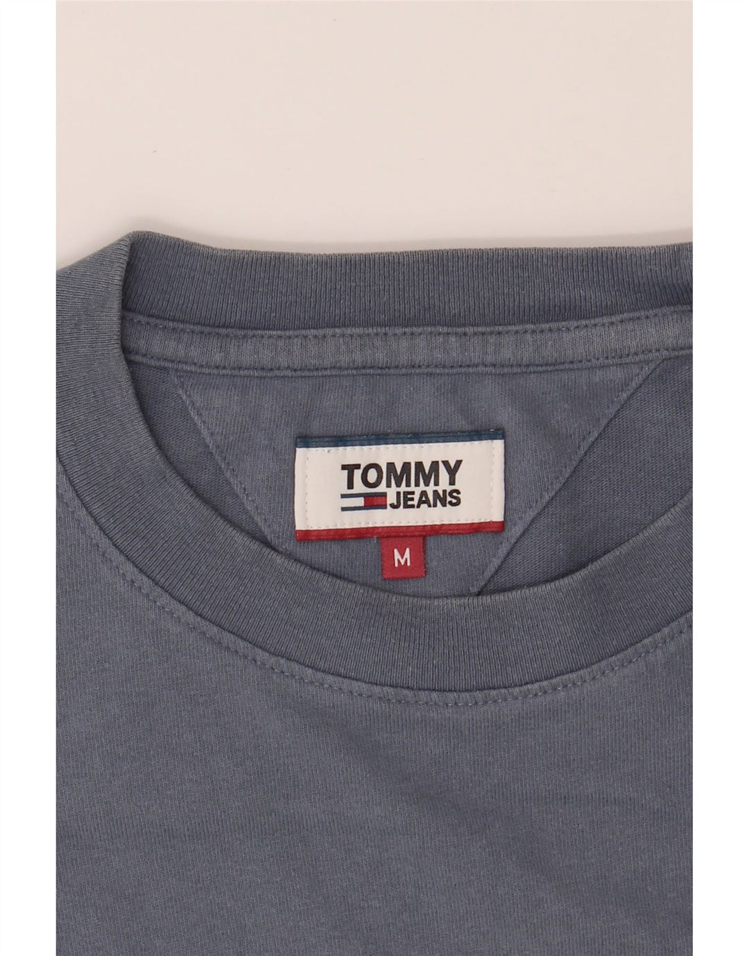 TOMMY HILFIGER Mens Graphic T-Shirt Top Medium Blue Vintage Tommy Hilfiger and Second-Hand Tommy Hilfiger from Messina Hembry 