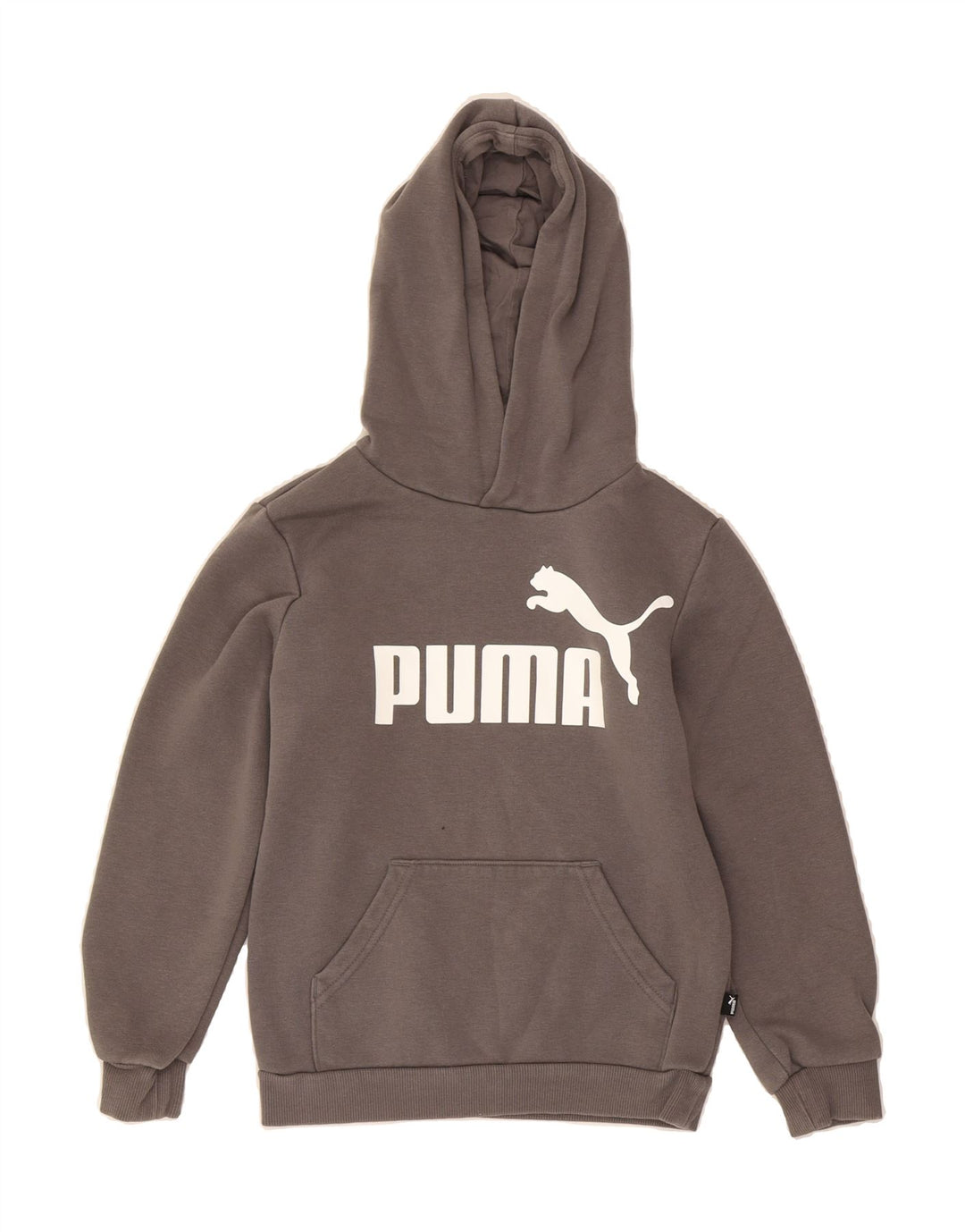 PUMA Boys Graphic Hoodie Jumper 9-10 Years Medium  Grey Cotton Vintage Puma and Second-Hand Puma from Messina Hembry 