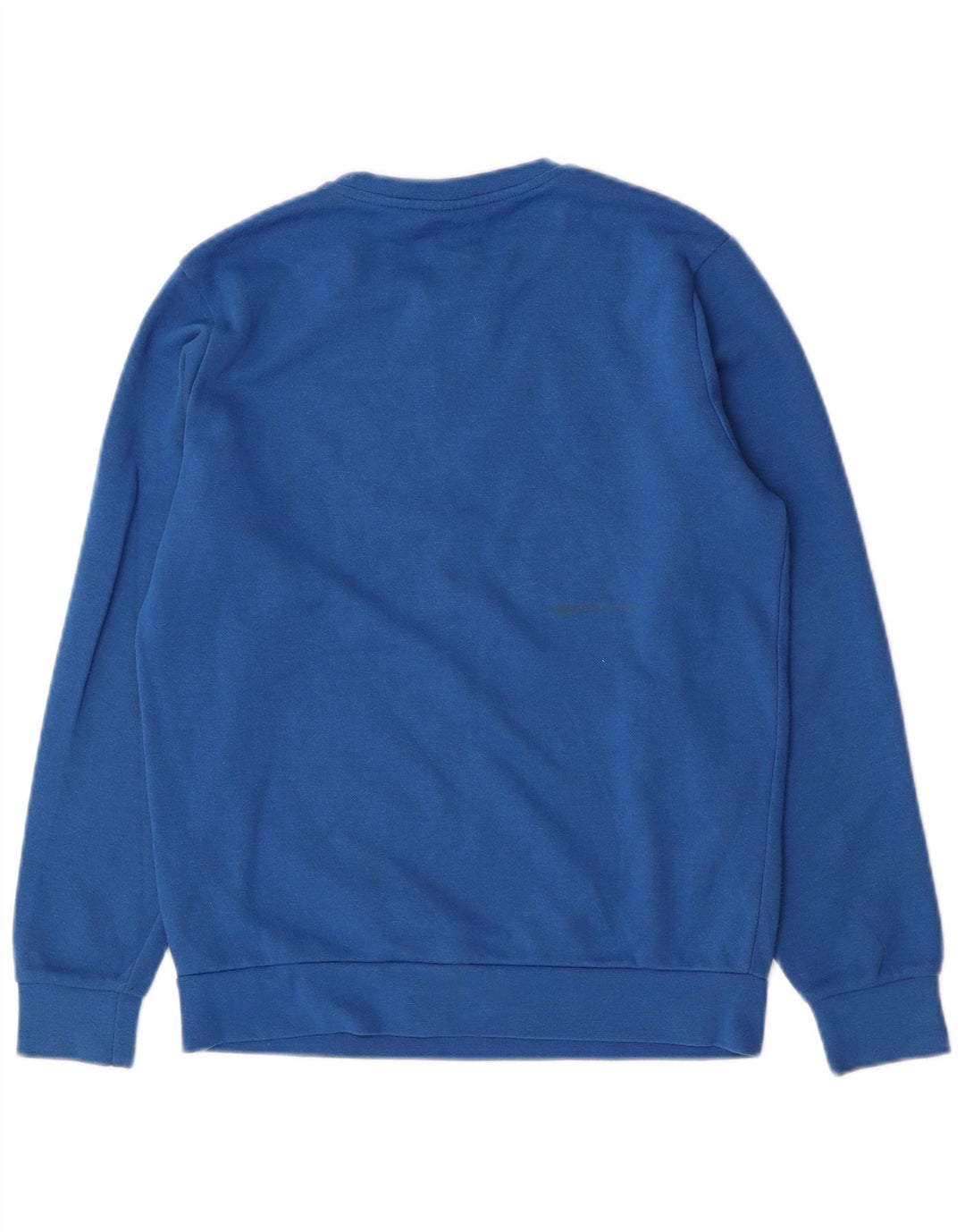 Champion Boys Grafisk Sweatshirt Jumper 13-14 år XL Blå Bomuld