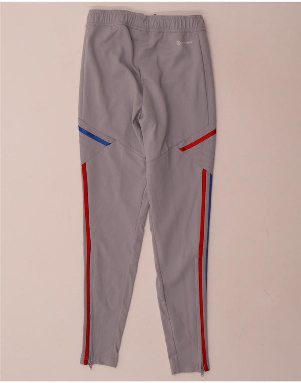 Adidas Herre Olympique Lyonnais Graphic Tracksuit Bukser XS Grå