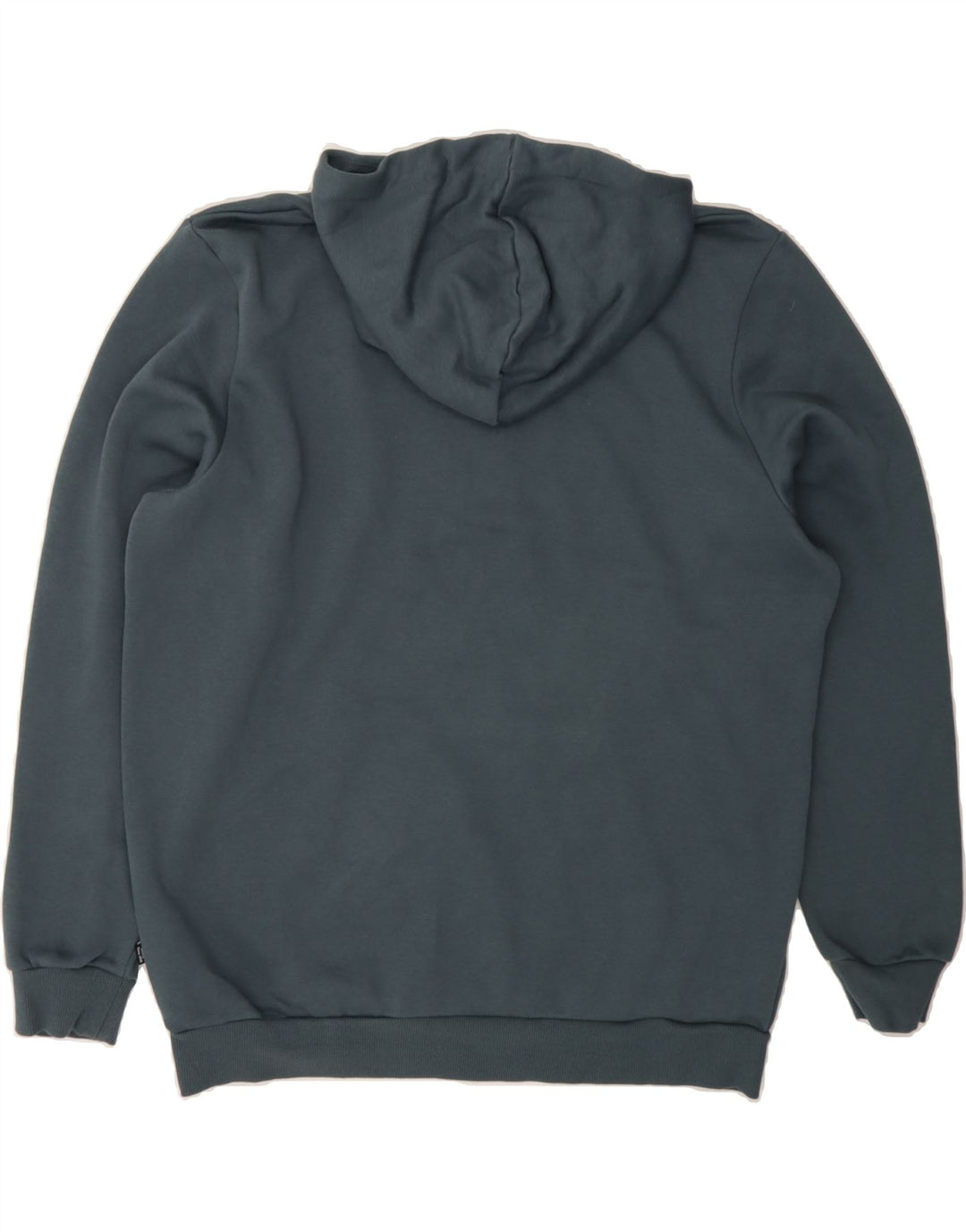 PUMA Mens Graphic Hoodie Jumper Large Blue Cotton Vintage Puma and Second-Hand Puma from Messina Hembry 