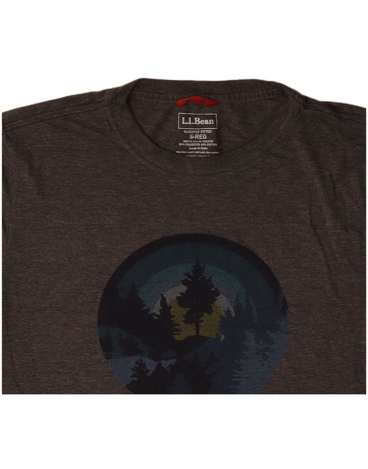 L.L.BEAN Herre letsiddende grafisk T-shirt top lille grå flækket