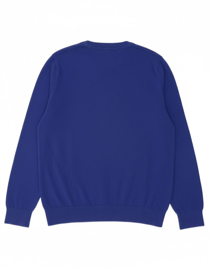 TOMMY HILFIGER Mens V-Neck Jumper Sweater Large Blue